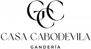 Logo Casa Cabodevila